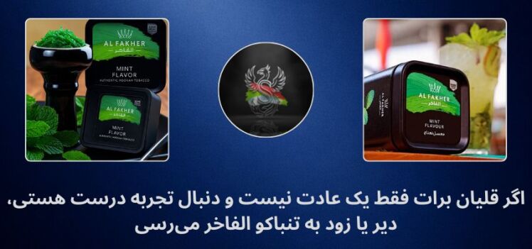 اگر قلیان برات فقط یک عادت نیست و دنبال تجربه درست هستی، دیر یا زود به تنباکو الفاخر می‌رسی!