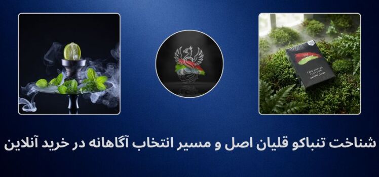 شناخت تنباکو قلیان اصل و مسیر انتخاب آگاهانه در خرید آنلاین